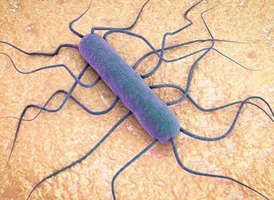 Encode Innovations LLP