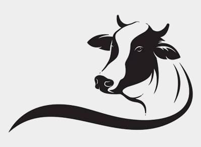 Encode Innovations LLP