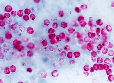 Encode Innovations LLP