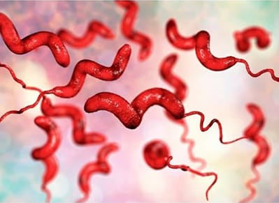 Encode Innovations LLP