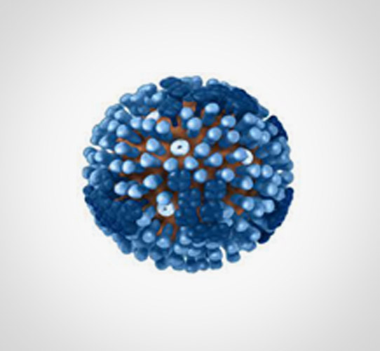 Encode Innovations LLP