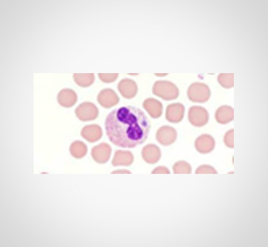 Encode Innovations LLP