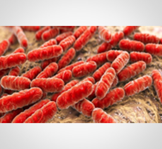 Encode Innovations LLP