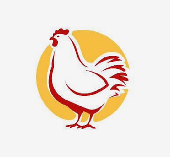 Encode Innovations LLP