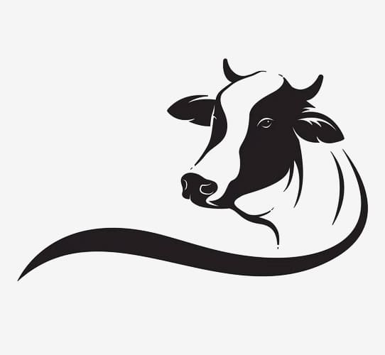 Encode Innovations LLP