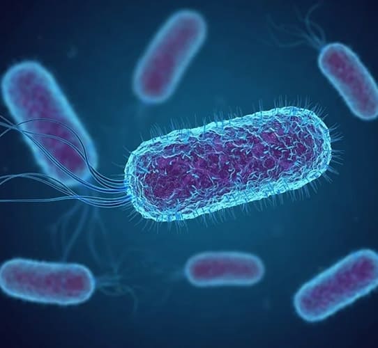 Encode Innovations LLP