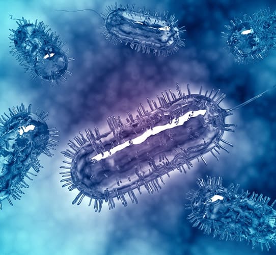 Encode Innovations LLP