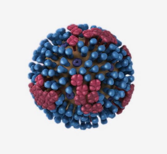 Encode Innovations LLP