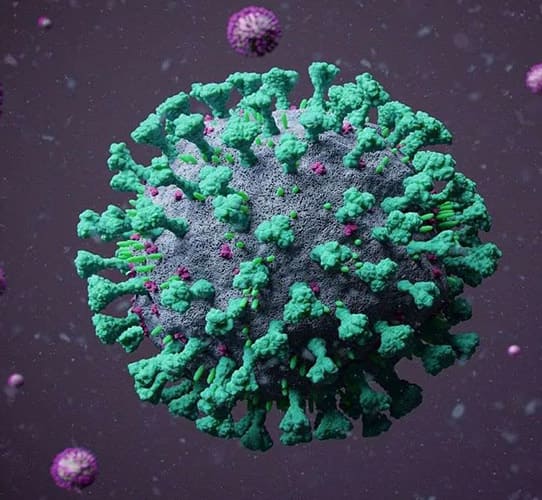 Encode Innovations LLP