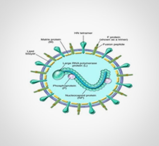 Encode Innovations LLP