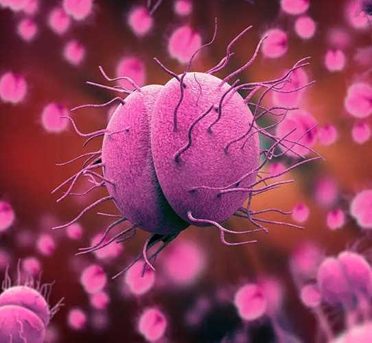 Encode Innovations LLP