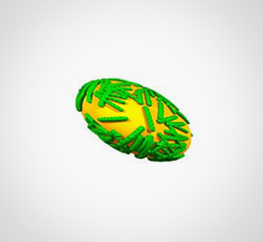 Encode Innovations LLP