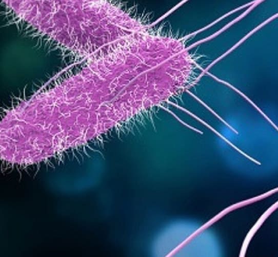 Encode Innovations LLP