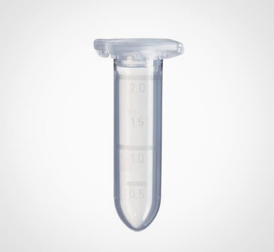 Encode Innovations LLP