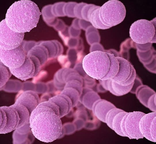 Encode Innovations LLP