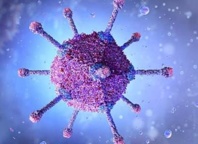 Encode Innovations LLP